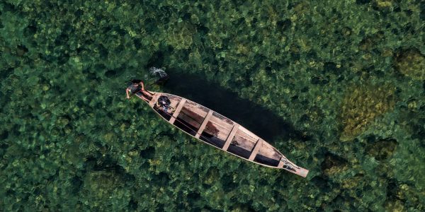 amrita-sharma-k7LDuaoP5nc-unsplash