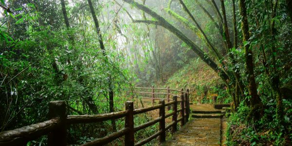 angshu-purkait-gtAbf_tsenY-unsplash