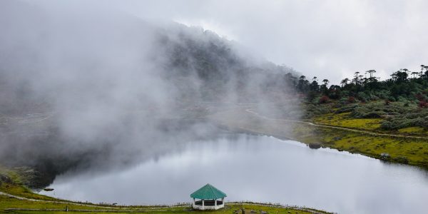 arindam-saha-SqsGHTAb320-unsplash