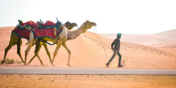 arshla-jindal-aCl0TLg1DQg-unsplash