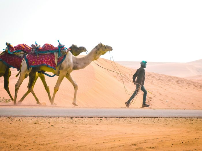 arshla-jindal-aCl0TLg1DQg-unsplash