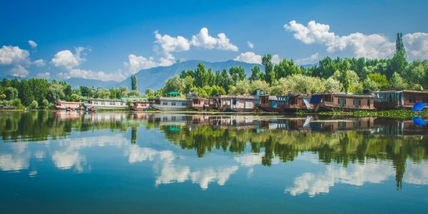 divya-agrawal-qa8VhqvJGIo-unsplash