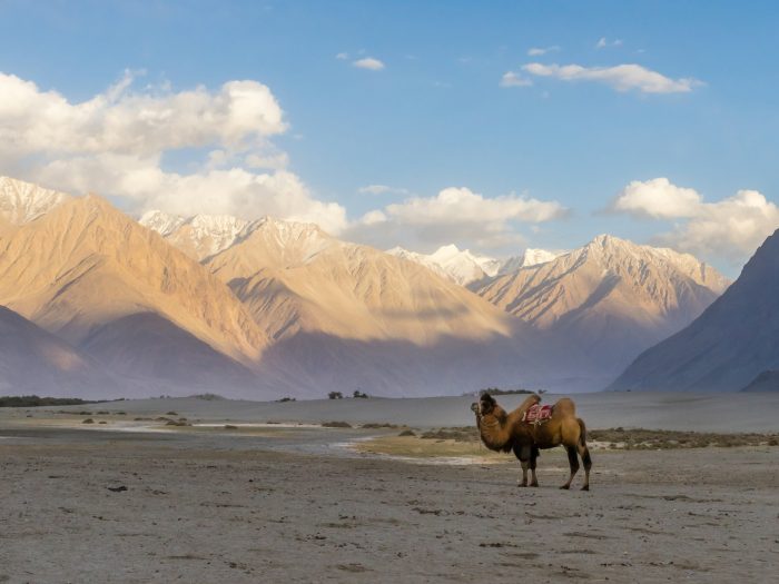 hans-jurgen-mager-ktvzOqJnZ8c-unsplash