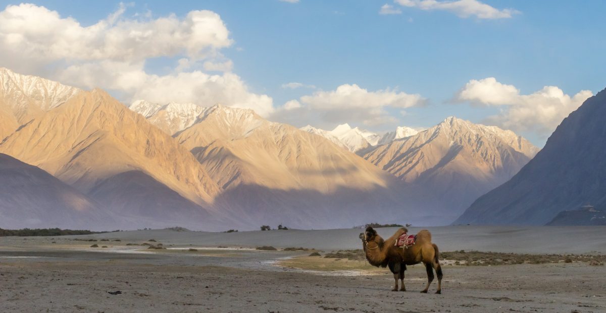 hans-jurgen-mager-ktvzOqJnZ8c-unsplash