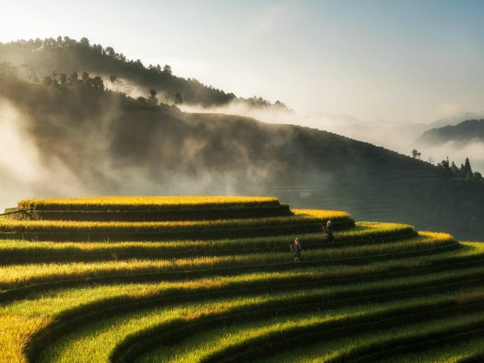 hoach-le-dinh-PeRt3uMmjYM-unsplash