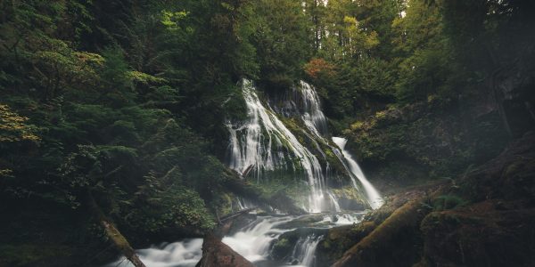 justin-wolff-cCRQdIY7Y80-unsplash