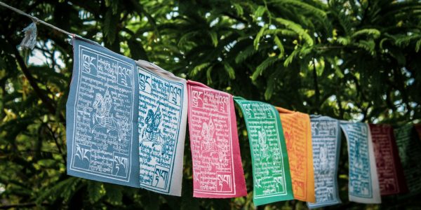 unma-desai-UY5Wv8QOPB0-unsplash