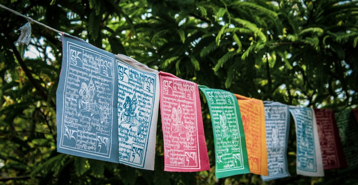 unma-desai-UY5Wv8QOPB0-unsplash