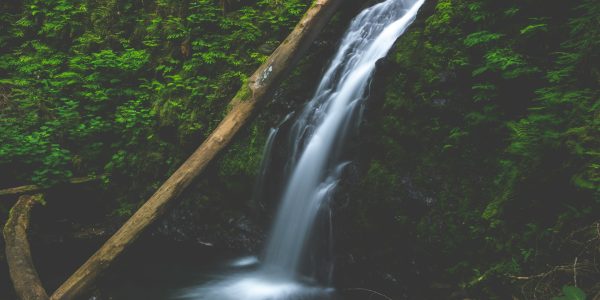 yanny-mishchuk-GqoPzGLNd6Q-unsplash