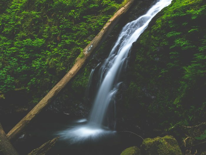 yanny-mishchuk-GqoPzGLNd6Q-unsplash